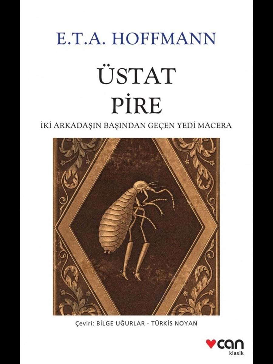 Can Yayınları Üstad Pire